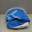 FOCO NFL Unisex-Adult NFL Team Logo Sherpa Fleece Plush Throw Blanket - 60" x 70"