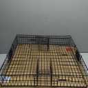 Squirrelinator Metal Wire & Heavy Duty, 2 Door Humane Live Squirrel Catch & Release Cage Trap, Holds up to 25 Squirrels, 1 Trap