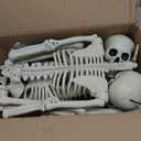 HBSTK 2 Pack 36 Inches Halloween Skeleton Full Body Posable Movable Jonints for Halloween Decoration Dcor, 2 Pack 40Inch Skeleton (Beige)