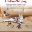 PETGEEK Gigwi Simulated Chirping Bird Cat Toy, Fake Interactive Cat Toys for Indoor Cats, Feather Toy with Hanging Loop for Bored Indoor Adult Kittens Interactive Play (Bird Mouse Cricket)