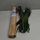 Lvydec 8 Pack Christmas Norfolk Pine Branches, 17 Inches Artificial Norfolk Pine Stems Christmas Branches DIY Crafts for Xmas Holiday Winter Home Table Decor