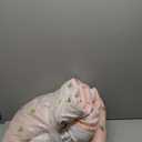 Twin Comforter Set with Sheets for Girls-5 Pieces Twin Bedding Sets with Pink Comforter, Sheets, Pillowcase & Sham for Kids (Pink Gold Heart, 66" X 86")