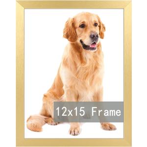 15"x12" inch Picture Frame, Horizontal and Vertical Formats for Wall Hanging, 15"x12" Wall Gallery Poster Photo Frames, Gold, Pack of 2 
