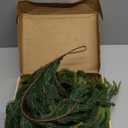 N&T NIETING 6FT Christmas Norfolk Pine Garland Real Touch Pine Artificial Faux Greenery Garlands Winter Christmas Garland for Table Mantle Fireplace Holiday Indoor Outdoor Xmas Decorations (1 Pcs)