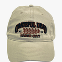 Grateful Dead Men's Standard Liquid Blue Radio City 80 Baseball Hat, Stone, One Size