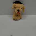 Chalyna 10 Inch 2025 Graduation Gift Dog Stuffed Animal Plush Golden Retriever with Diploma Tassel Graduation Hat Embroidered Blessings Preschool Kindergarten Gift for Friends, Relatives, and Kids