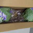 FOTEEWL 16 Bundles Artificial Hydrangea Flowers for Outdoor Decor, Realistic Faux Silk Bouquets Sun-Resistant Fake Plants for Front Door Balcony Farmhouse Garden Home Spring Summer Decor (Purple)