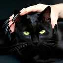 4 x Halloween Witch Costume Accessories Set - 10 Pcs Long Pointed Nails + 1 Long Nose Accessory, Scary Cosplay Props for Witches, Vampires & Zombies (Black)