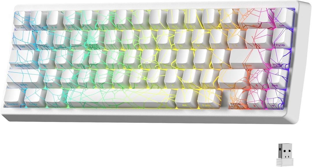 HITIME x XVX M67 Wireless 60% Percent Keyboard, QMK/VIA Gaming Keyboard, Tri-Mode Thocky Creamy Mechanical Key Board, Hot Swappable Gasket Mount RGB IMD Tech for Win/Mac, Spider Web Theme, White