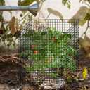 12 Pics DIY Metal Plant Protectors from Deer, Garden Fencing Animal Barrier Size 11.8 * 11.8 inches, Mesh Plant Cage Chicken Wire Cloche for Plants with Stakes and Nylon Cables (12 Pcs)