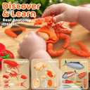 22pcs Play Seafood Cut Toys Set for Kids Play Kitchen, Montessori Toddler Kitchen Playset with Toy Food & Fake Fruit, Kitchen Set for Kids & Toddler Cutting Set, Kitchen Toys for Boys Girls Ages 3 4 5
