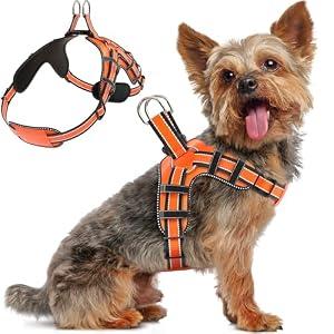 Dog Harness for Small Dogs Back DRing Control No Choking PressureFree Chest Design Comfortable Padded Adjustable Reflective Vest Harness for Daily Walks Training Easy Control Outdoor Use Secure Fit