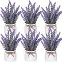 6 Pcs Artificial Lavender Plant in Pots Small Rustic Spring Faux Lavender Potted Plants Purple Bathroom Decor Farmhouse Centerpieces for Kitchen Bedroom Shelves Desk Office