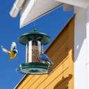 Metal Roof Bird Feeder for Outdoors - 360 Feeding Perch. Green