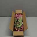 Burgundy Hydrangea Artificial Flowers,Fall Hydrangeas Artificial Flowers, Fake Fall Dried Hydrangea Decoration,Faux Silk Flower with Stems Winter Decor(Red Rose 24" 8pcs) Without Vase