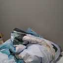 Dobuyly Floral Comforter Set Queen Size 7 Piece Bed in a Bag, Aqua Flowers Printed on Light Blue Comforter Set with Sheets, Soft Polyester Botanical Complete Bedding Set for All Season