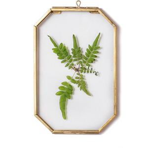 NCYP 4" x 6" Small Glass Floating Frame with Chain for Artwork Photo, Picture, Pressed Dried Flowers, Plant Specimen - Home Wall Hanging Decor, Octagon, Gold, Handmade (Glass Frame Only)