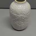 Mud Pie Textured Bud Vase, Large, 5 3/4" x 3 3/4" Dia