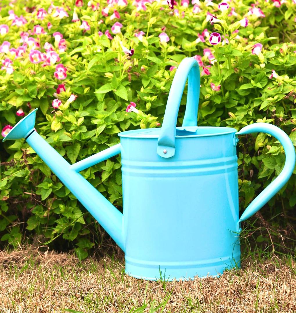 1 Gallon Metal Watering Can Outdoor, Flower Plant Gardening Garden Large Watering Can Pot,  Handles and Removable Spray Spout, Blue