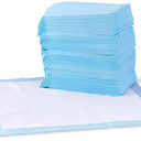 Basics LeakProof Dog and Puppy Potty Training Pee Pads with QuickDry 5Layer Super Absorbent Design, Regular Size 22 x 22 inch, Blue & White, 100 Count