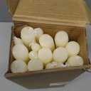 flamecan Ivory Taper Candles, Set of 20 Unscented and Smokeless 10 Inch Taper Candles Long Burning, Paraffin Wax with Cotton Wicks for Burning Approxinately 7-8 Hours Time