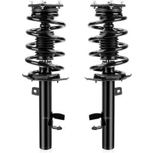 Richeer Front 2 PCS Strut Assembly Compatible with 2014-2019 Escape, Shock Absorber Front with Coil Spring Steel Replacement 172750 172751