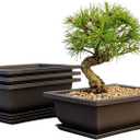 Bonsai Outlet Training Pots with Humidity Trays - Built in Mesh, Six Inch Large Planters + Made from Durable Shatter Proof Poly-Resin, Set of 3 Pot Set