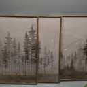 Beige Foggy Pine Tree Framed Canvas Wall Art Set,Modern Misty Forest Wall Decor,Nature Landscape Brown Art Print for Living Room,Bedroom-16 x24 x3