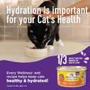 Wellness Complete Health Minced Adult Wet Cat Food, Natural, Protein-Rich, Grain Free, 3 Ounce , 24 Pack, (Chicken Entre) (EXP 07/26/25)
