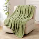 FY FIBER HOUSE Fleece Throw Blanket for Couch 300GSM Super Soft Plush Fuzzy Blankets Lap Blanket for Office Sofa, 50x60 Inches, Sage Green