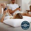 Bedsure Pillows Queen Size Set of 2 - Soft Bed Pillows for Sleeping 2 Pack, Fluffy and Supportive, Hotel Quality, Original Down Alternative Filling for Side, Back Sleepers