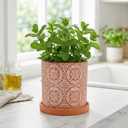 Jucoan 2 Pack Terracotta Plant Pot, 5'' Red Clay Planter Pot with Boho Flower Pattern, Ceramic Cactus Flower Planter Succulent Pot with Drainage Hole and Saucer for Indoor Outdoor Plant