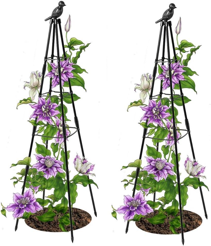 Trellis for Climbing Plants Outdoor, 2 Pack Plant Trellis Support for Climbing Vine, 63" Plant Support Tower Cages Plastic Coated Metal Pipe Supports for Outdoor Indoor, Potted Plants, Tomato cage