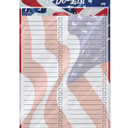 2 x Royal Brites Home Hub Dry Erase Poster Board 14"x22"
