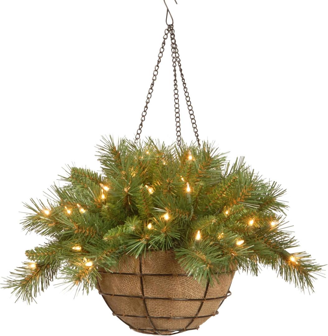 National Tree Company Pre-Lit Artificial Christmas Hanging Basket, Tiffany Fir, Decorated With Frosted Pine Cones, Berry Clusters, White Lights, Christmas Collection, 20 Inches