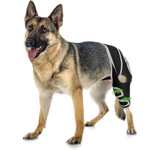 Dog Knee Brace for Luxating Patella, Dog Leg Brace Front, Dog ACL Brace Hind Leg with 6 Metal Strips to Protect Knee Joint, Provide Stable Support and Relief Pain, Help Resume Normal Activities XL