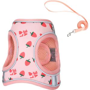Step in Dog Harness and Leash Set, Flower Adjustable Easy Walk Puppy Harnesses, Soft Mesh No Pull Pet Vest Harness for Small Medium Dogs(Strawberry, M)