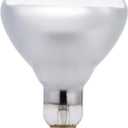 Philips LED 416750 Heat Lamp 125-Watt BR40 Clear Flood Light Bulb Warm White