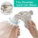 Human Upper Limb Skeleton Anatomical Model, Life Size Human Arm Skeleton Model with Movable Shoulder and Hand Joints Clavicle and Scapula for Medical Science Education Study or Teaching