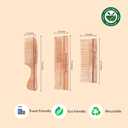AYUSHKA ORGANIC Handcrafted Wooden Hair Comb – Dual Tooth Design for Detangling & Styling, Anti-Static, Travel-Friendly, for All Hair Types (Comb 5)