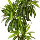 Warmplants Artificial Dracaena Tree, 6ft Tall Fake Dracaena Plant with Basket, Indoor Outdoor Faux Topiary Yucca Trees for Office Home Living Room Porch Patio Décor