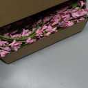 Canlierr 1 Pack 71 Inch Artificial Forsythia Branches Faux Flower Vine Garland Forsythia Flower Hanging Wreath Floral DIY Decoration for Front Door Home Indoor Spring Wedding Easter Decor (Pink)