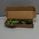 4 Pcs Artificial Ficus Branches Faux Eucalyptus Stems, 47.2 Inch Fake Greenery Stems Artificial Plants for Vase Filler Decoration, Fake Leaves Branches Centerpieces Decor