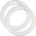 8 inch FC8T9/CW 22W Cool White Circular Fluorescent Light Bulb, Round T9 22 Watt Circline Fluorescent Lamp Bulbs 4100K 1350 Lumens, G10q 4 Pin Base, 2 Pack