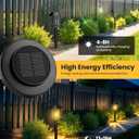 Solar Pathway Lights, 12 Pack Solar Light Outdoor IP65 Waterproof, Garden Lights Solar Powered, Outside Decor Landscape Lighting for Yard, Path, Driveway, Walkway (Warm White)