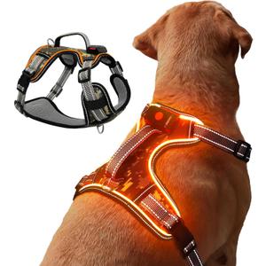 BiPawTi LED Light Up Dog Harness for Safety Night Walking, Glow in The Dark Soft Mesh Dogs Vest Lighted USB Rechargeable - Reflective Harness for Dogs, Illuminated No Pull Dog Vest (Orange, XL)