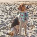 Bandana Collar Scarf for Dogs, 3 Pack, Adjustable Triangle for Puppy & Cat Small, Medium & Large, 1 Poop Bag (Large)