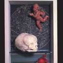 Beyond the Brain: Birth, Death, and Transendence in Psychotherapy (Suny Series in Transpersonal & Humanistic Psychology)