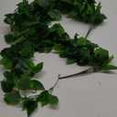 Dremisland 2 Strands Artificial Scindaps Vines Garland 6.7ft Fake Vines Ivy Garland Silk Green Leaves Faux Hanging Plants Greenery Decoration for Bedroom Wall Patio Party Wedding Decor (Ivy, 2PCS)