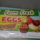 Fresh Eggs for Sale Sign, 18x24 DS Coroplast, Large Outdoor Farm Fresh Eggs Sign with Blank Space for Personal Info